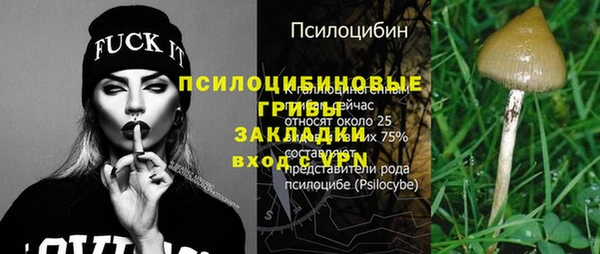 а пвп мука Алзамай